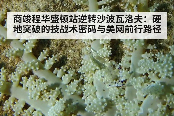 商竣程华盛顿站逆转沙波瓦洛夫：硬地突破的技战术密码与美网前行路径
