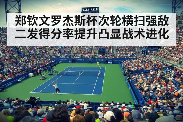 professional tennis match