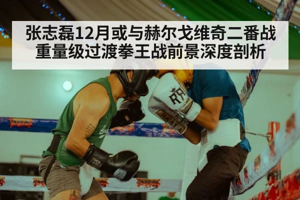 张志磊12月或与赫尔戈维奇二番战 重量级过渡拳王战前景深度剖析